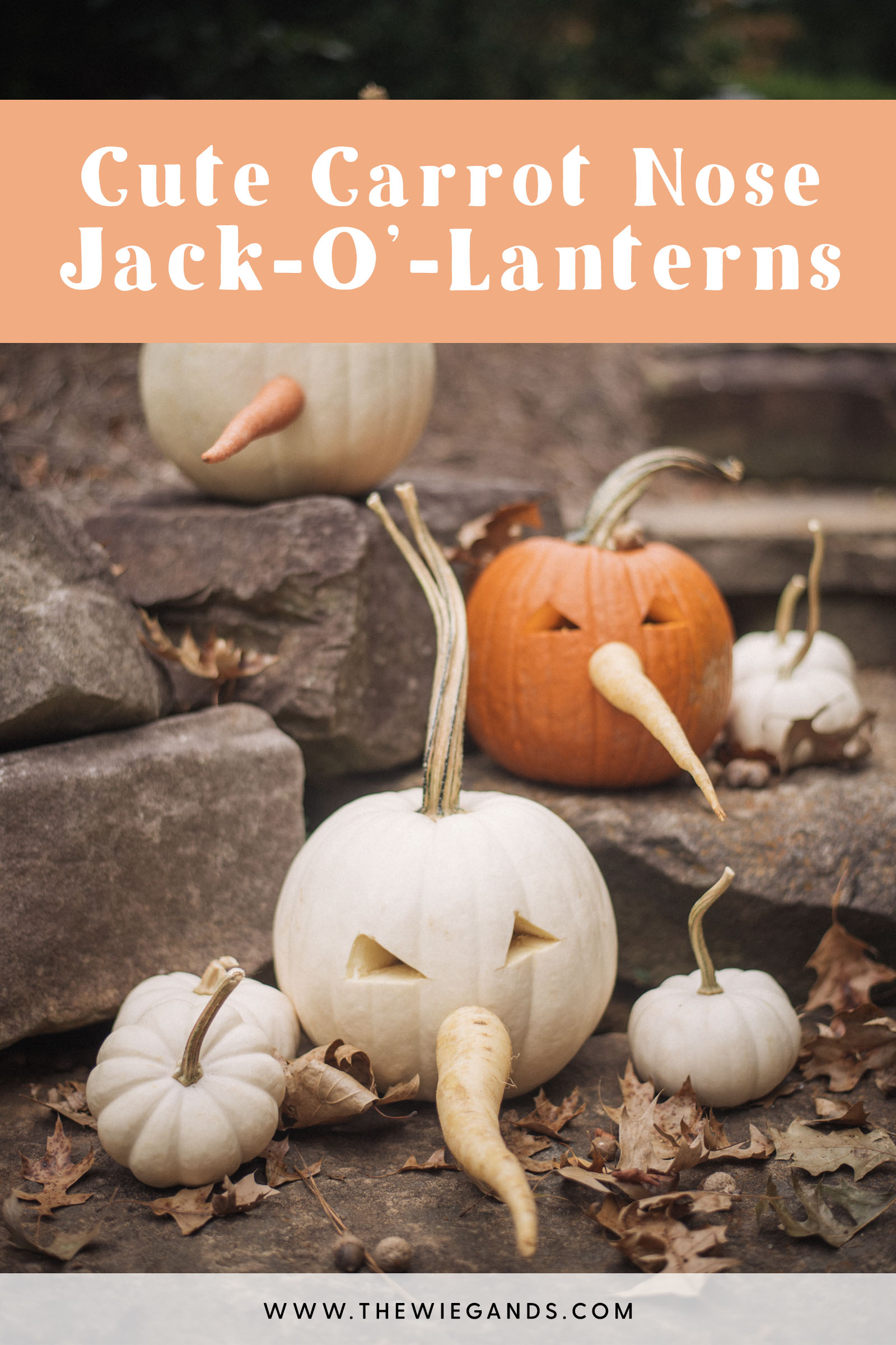 jack o lantern