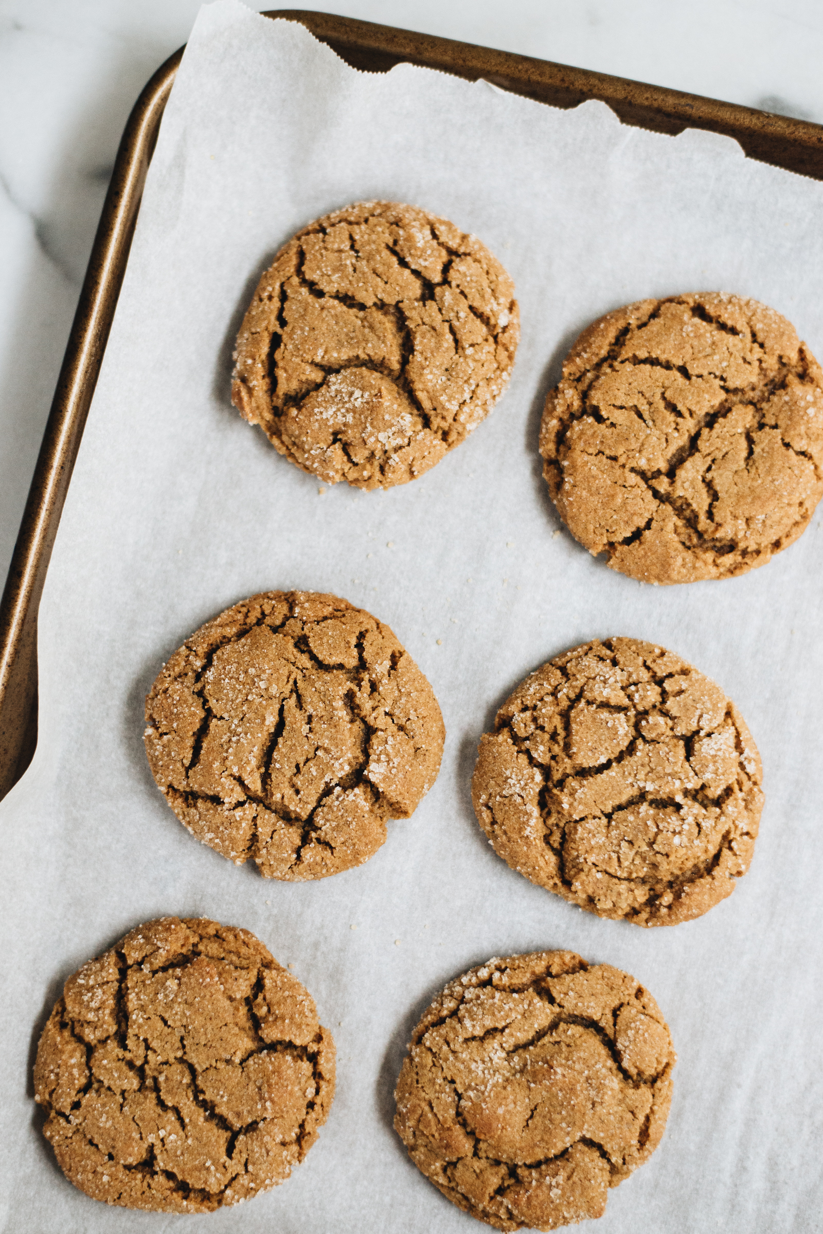 gingersnap cookies on parchment paper cookie sheet