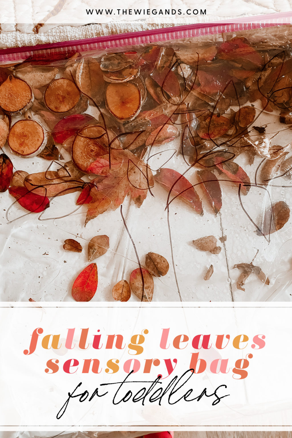 Falling Leaf Sensory Bag For Toddlers Casey Wiegand Of The Wiegands   Falling Leaves Pin 1024x1536 