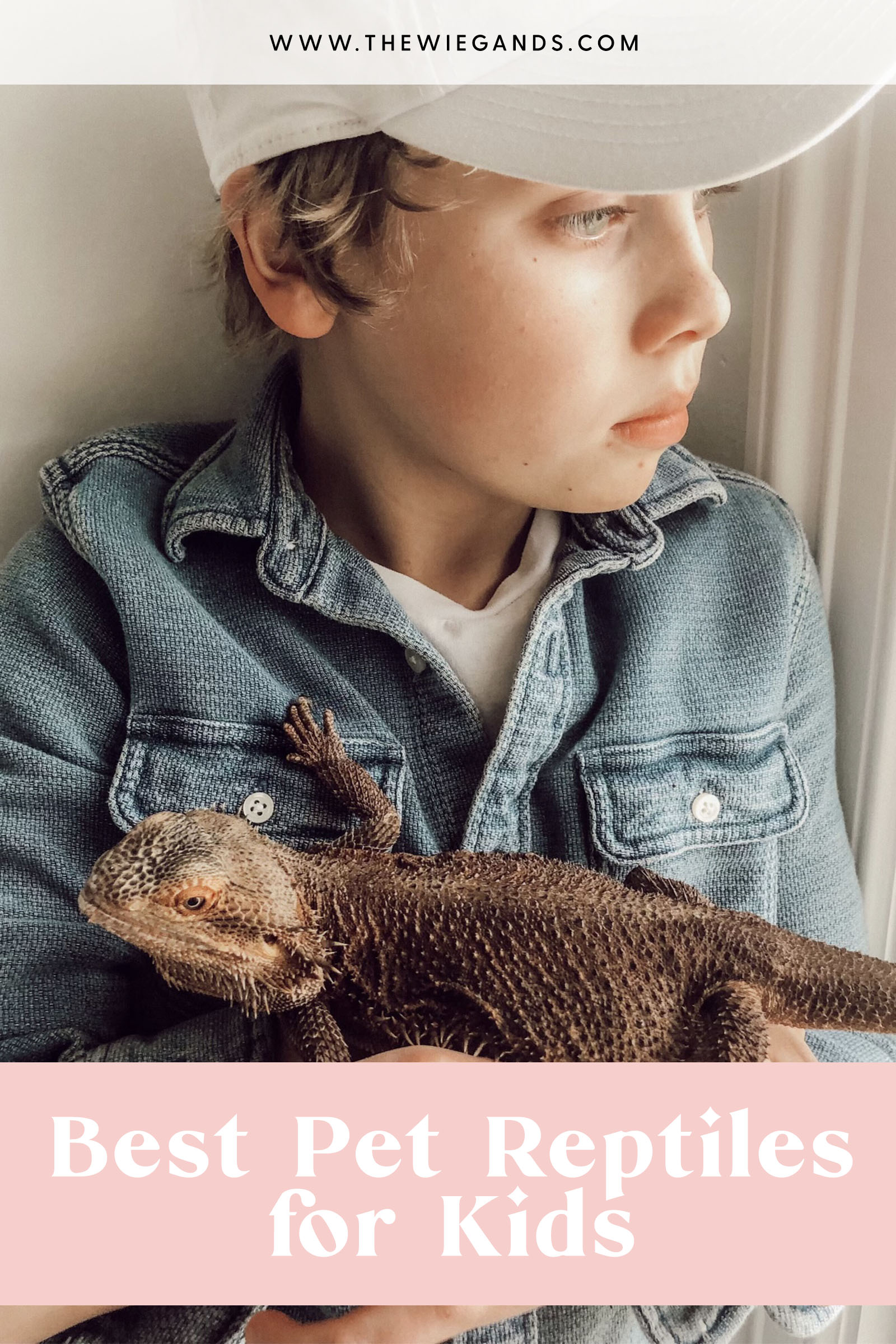 pet lizards for kids