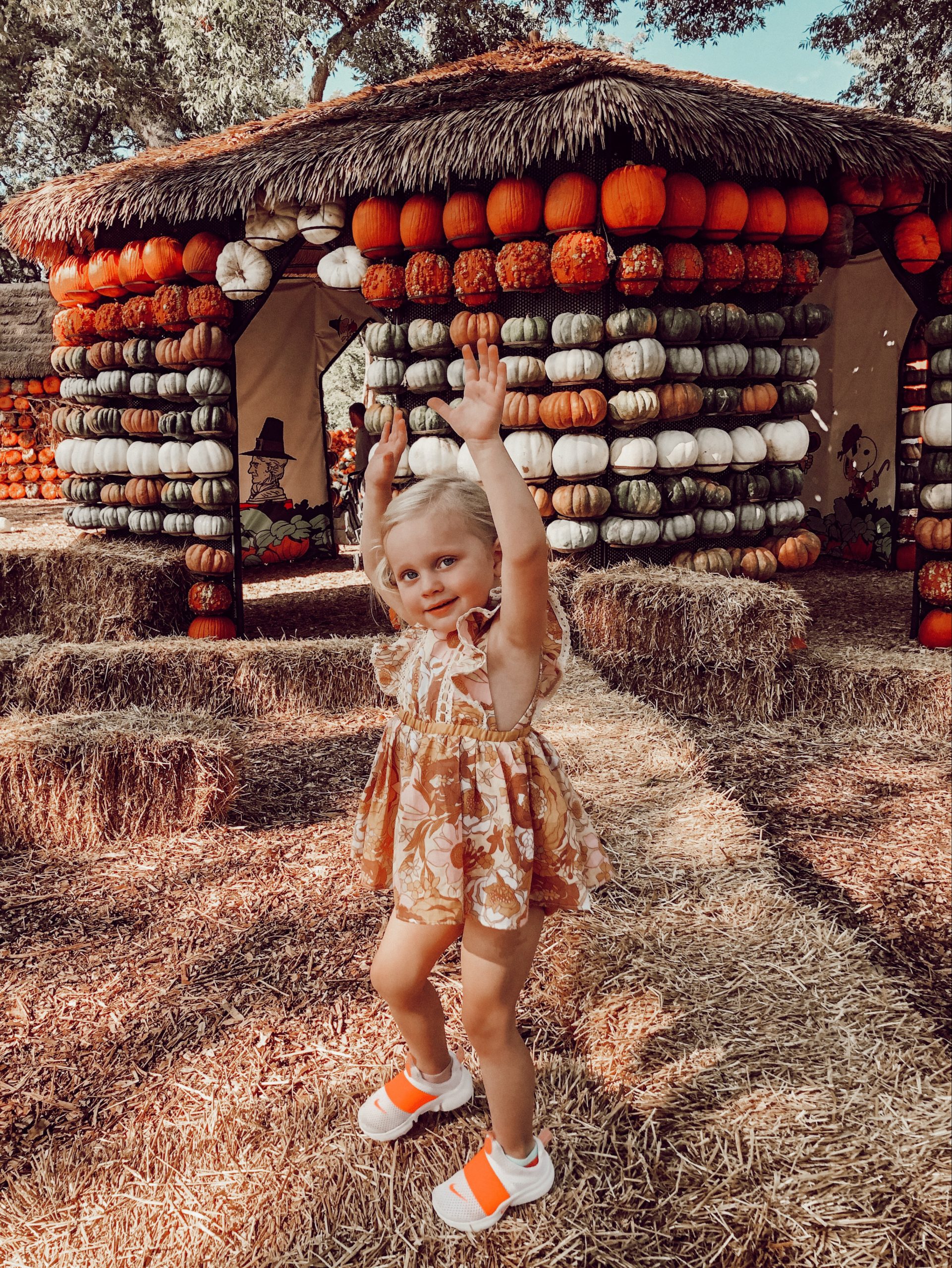 pumpkin patch family photos