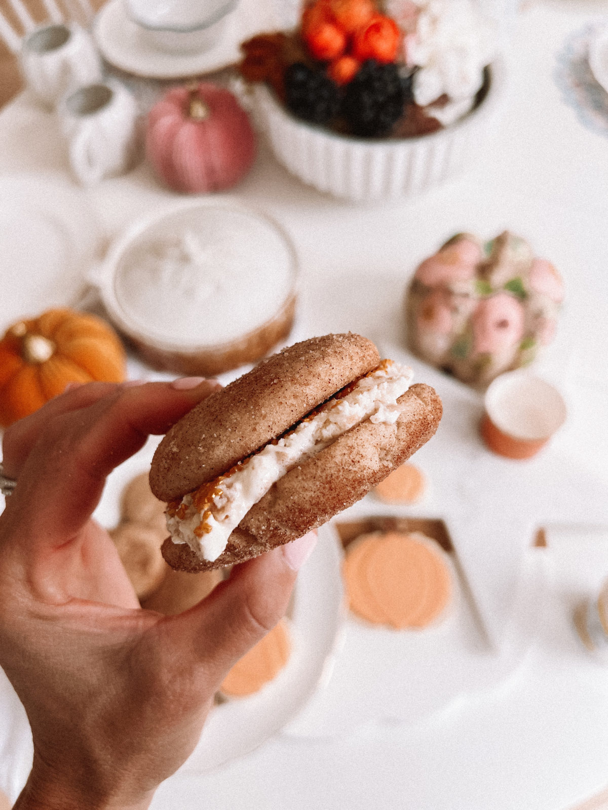 Snickerdoodle Ice Cream Sandwich Casey Wiegand Of The Wiegands 1709