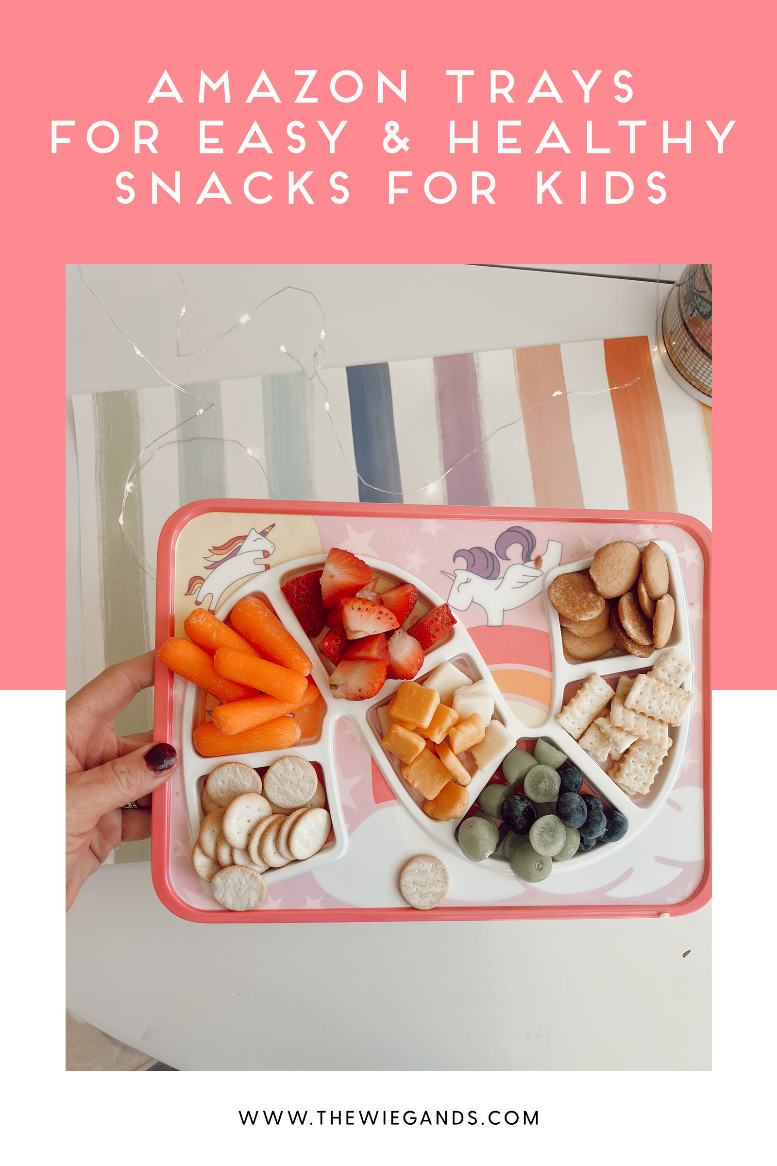 snack trays for kids pin 1