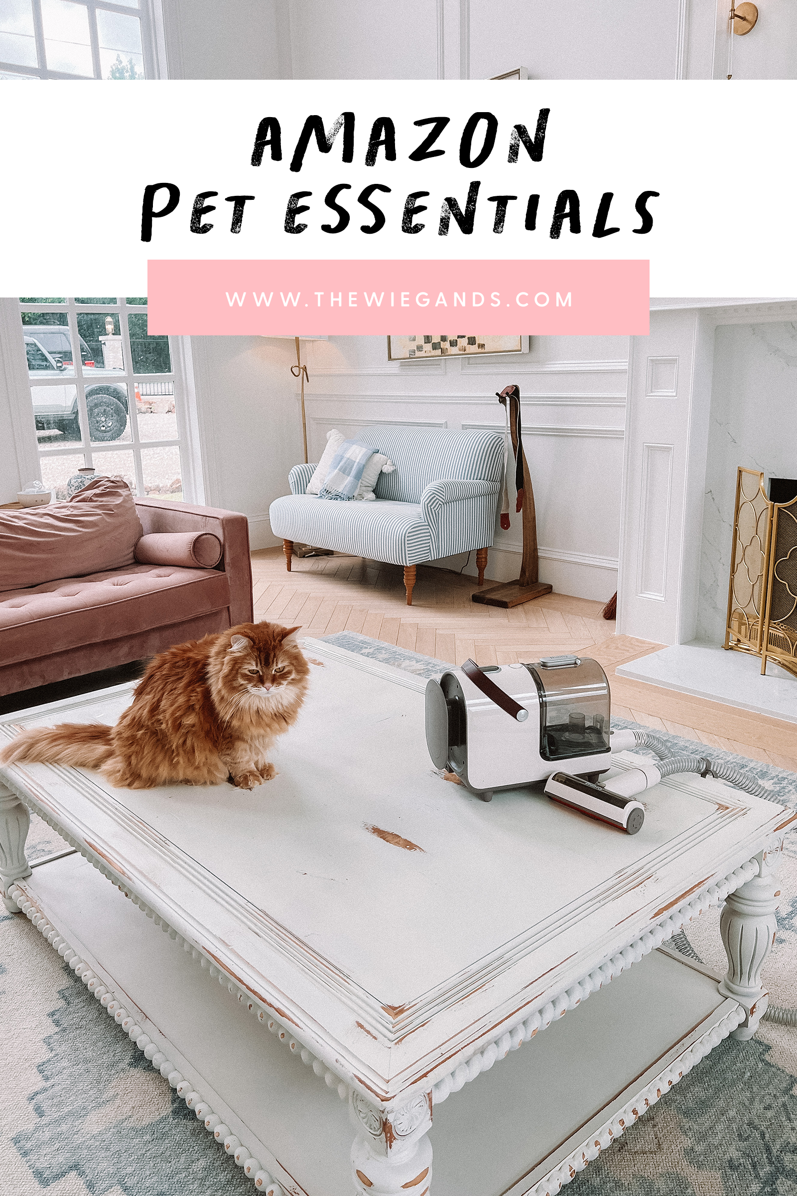 amazon pet must haves pin 3