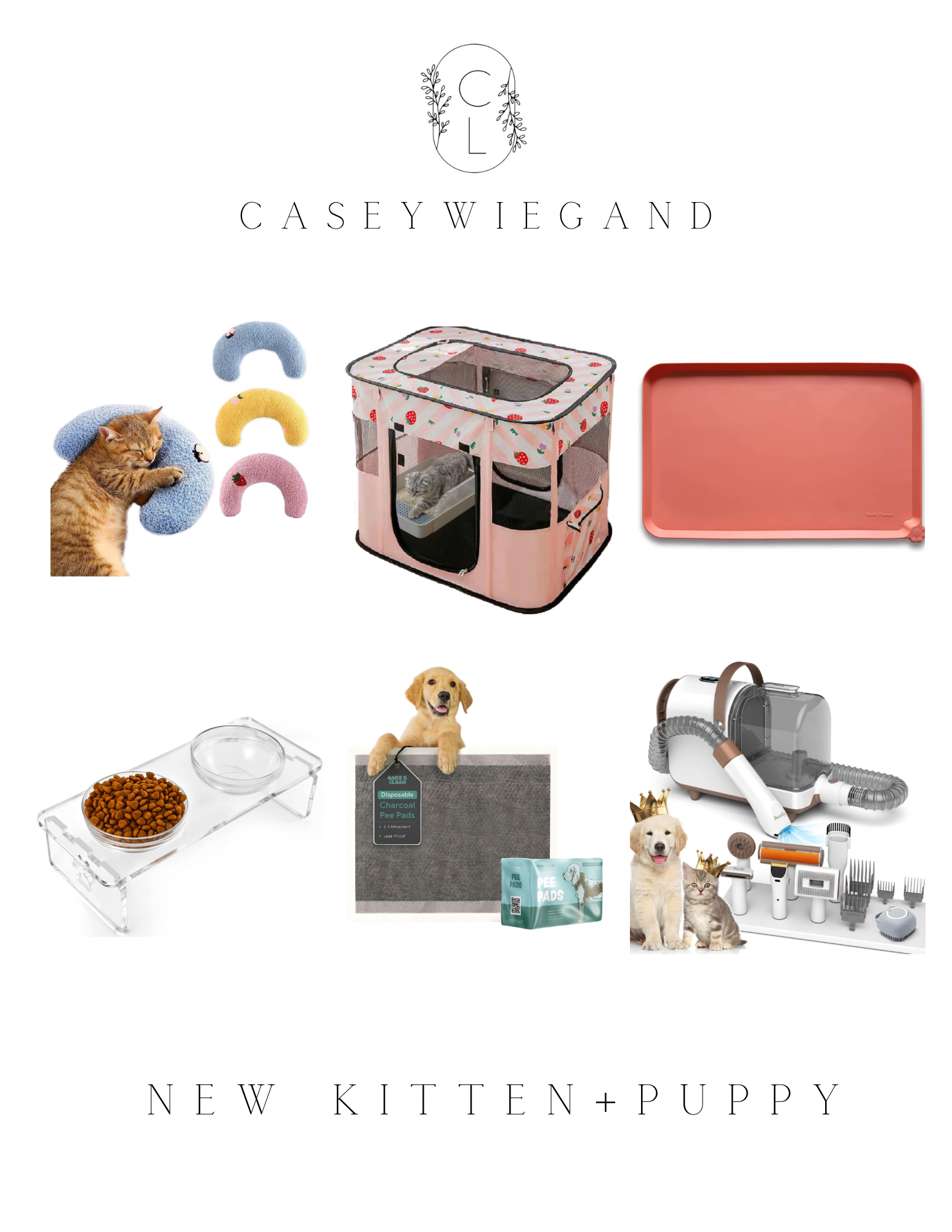 casey wiegand amazon pet must haves