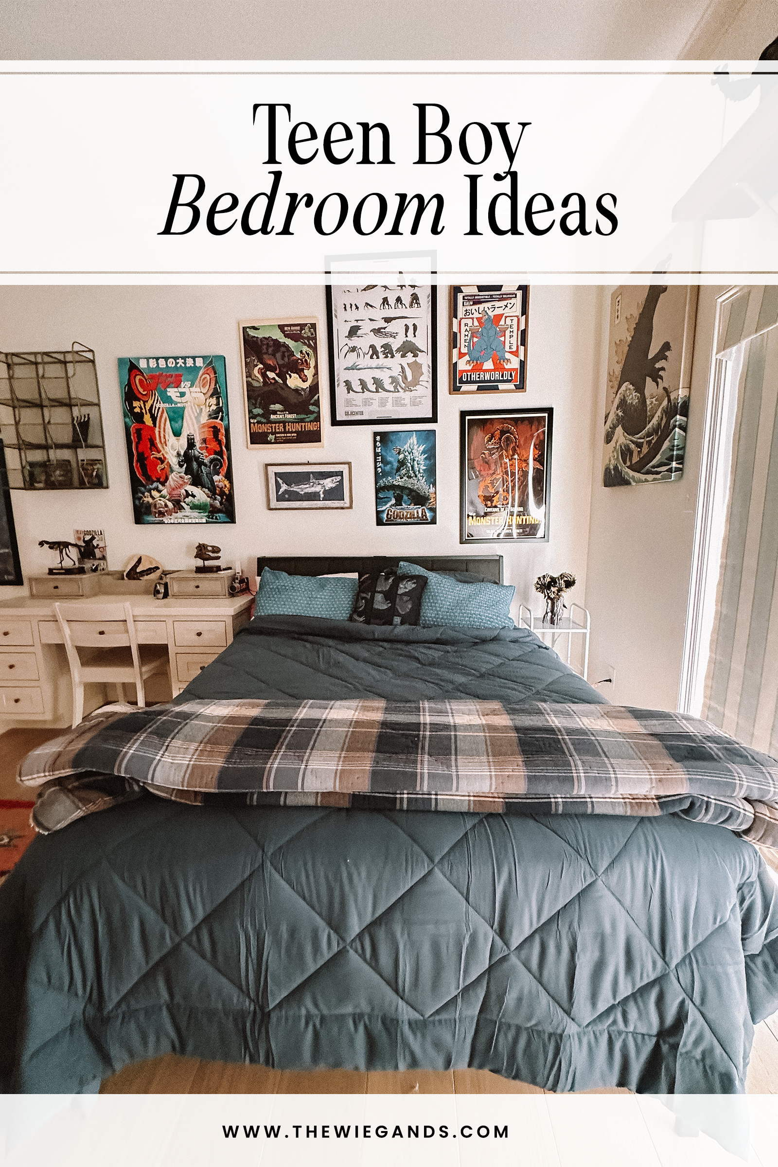 teen boy bedroom ideas pin 2