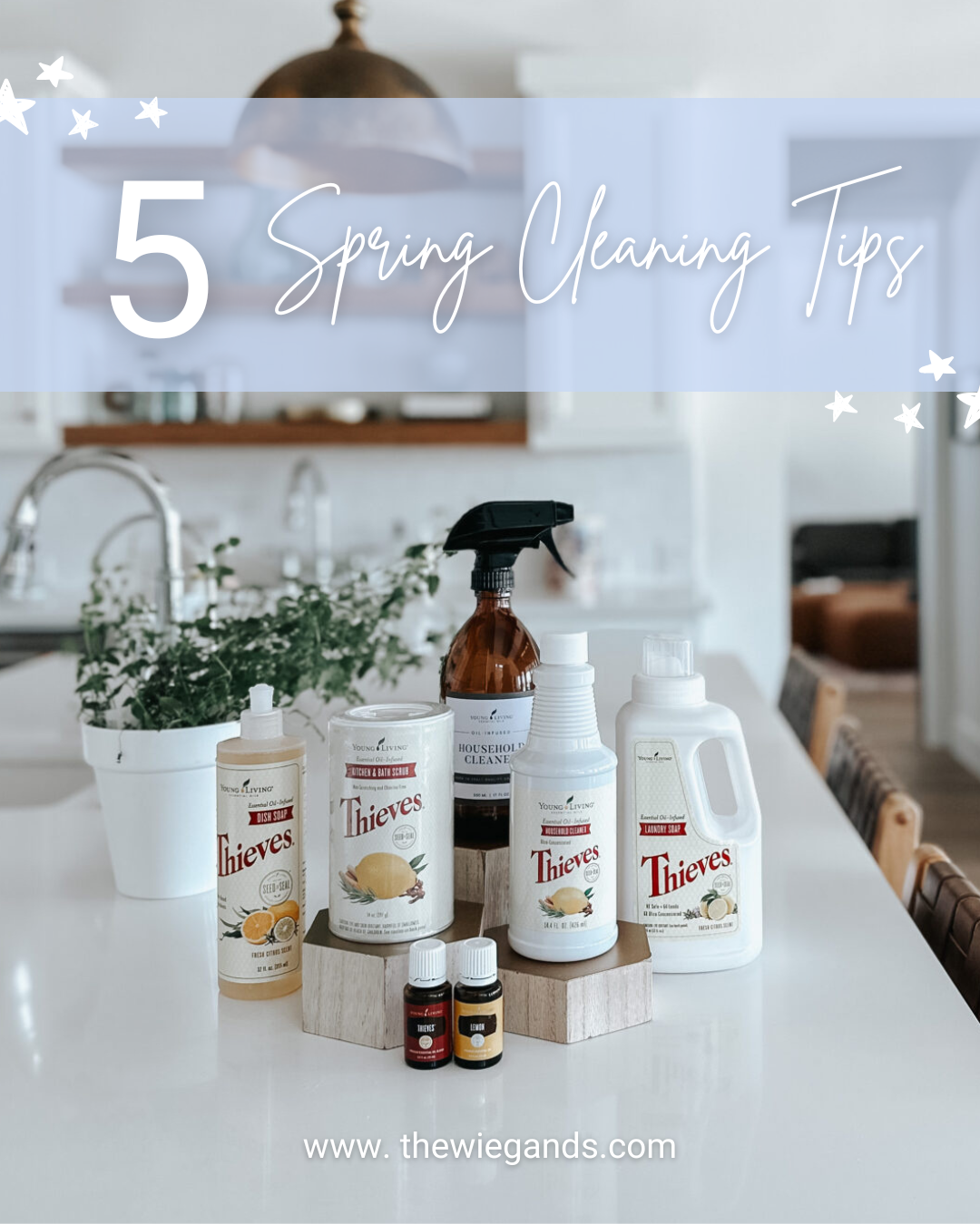 spring cleaning tips