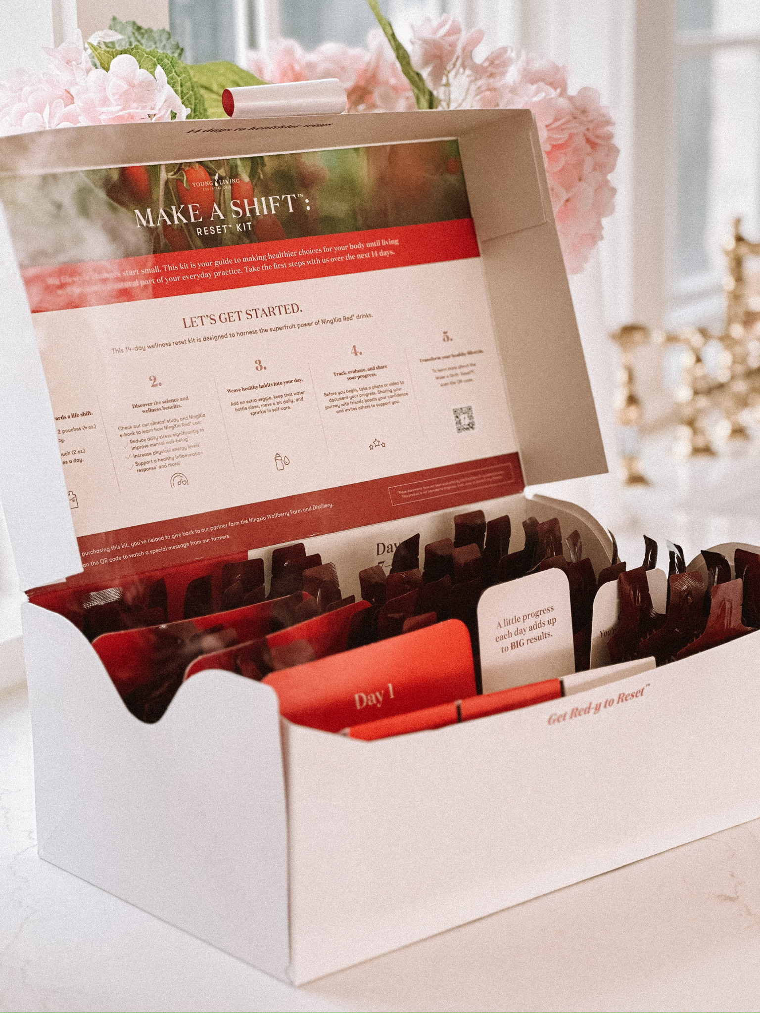 metabolic reset kit