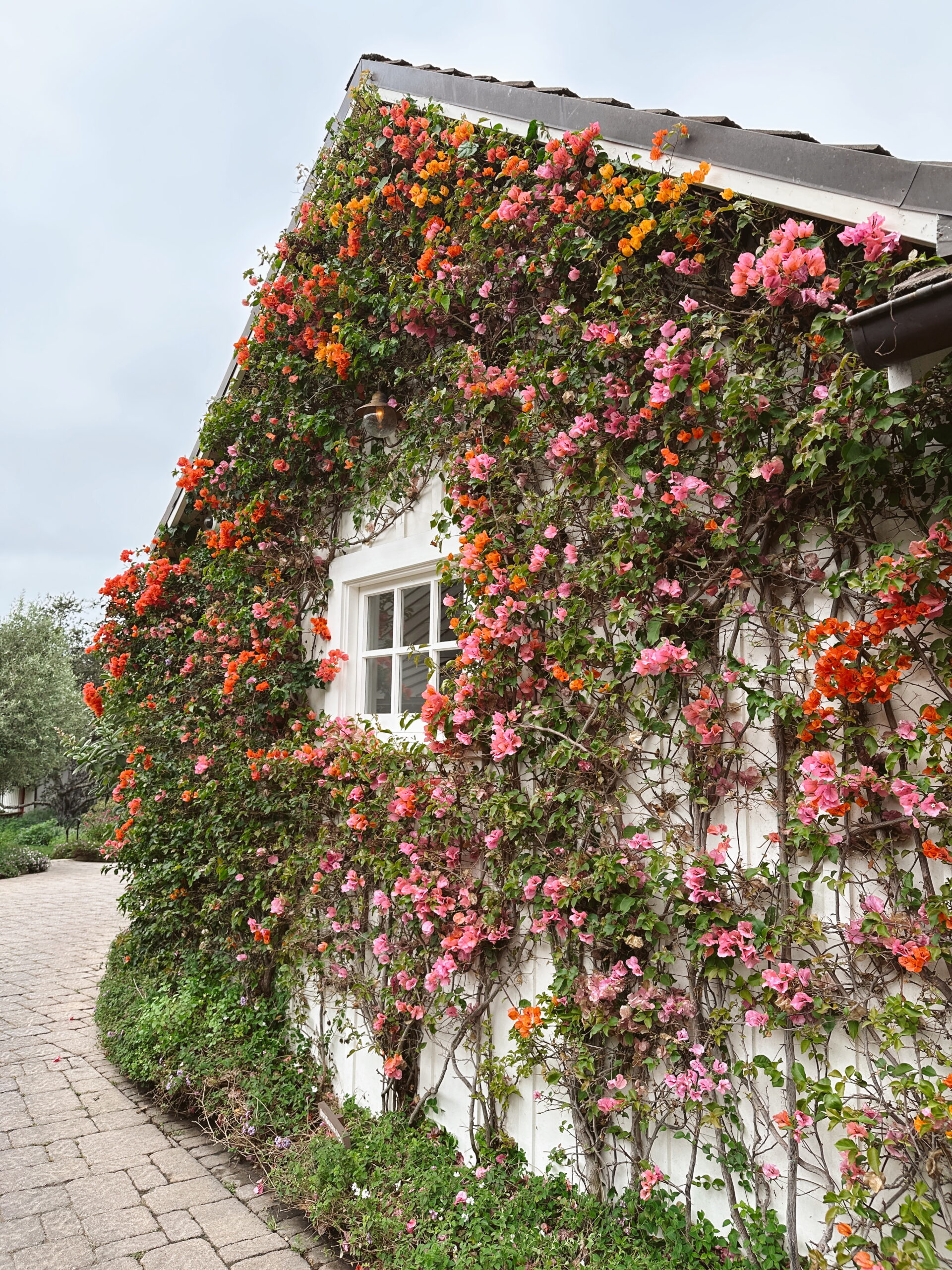 santa barbara
