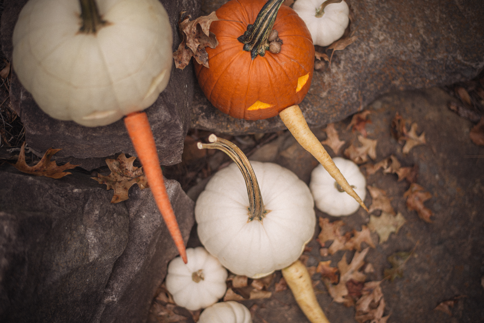 no carve carrot nose pumpkins